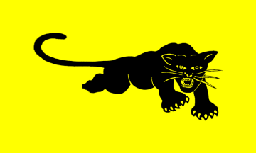 Black Panthers flag (Variant)